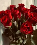 Fragancia de Rosas para Velas